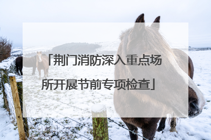 荆门消防深入重点场所开展节前专项检查